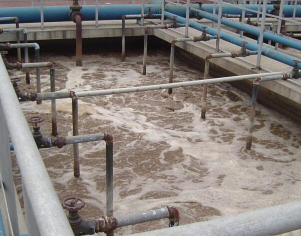 臭氧技術(shù)在污水處理領(lǐng)域的先進(jìn)應(yīng)用